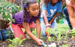 A young girl works on a community garden at the Environmental Education center at Upper Main Line YMCA in Berwyn, PA